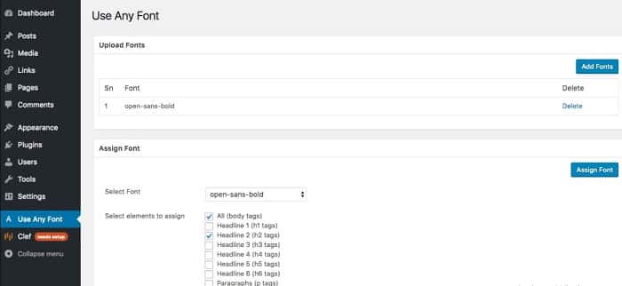 Plugin Use Any Font giúp thêm font vào wordpress 