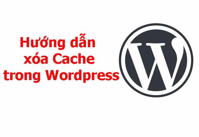 Xóa Cache WordPress như thế nào?