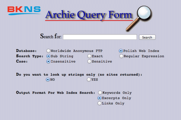 Công cụ tìm kiếm đầu tiên có tên Archie