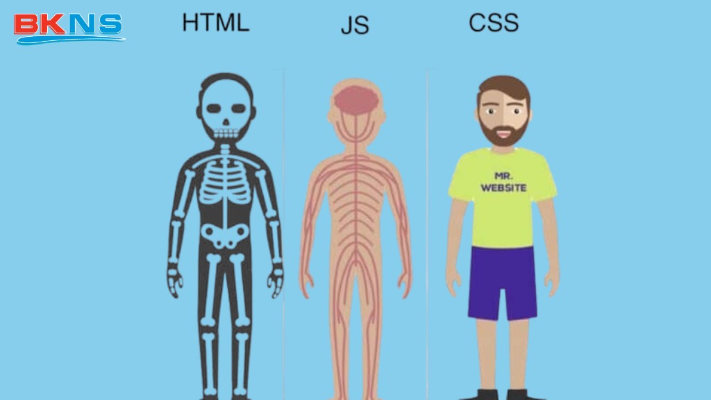 Nếu coi 1 website là 1 cơ thể thì HTML sẽ là khung xương