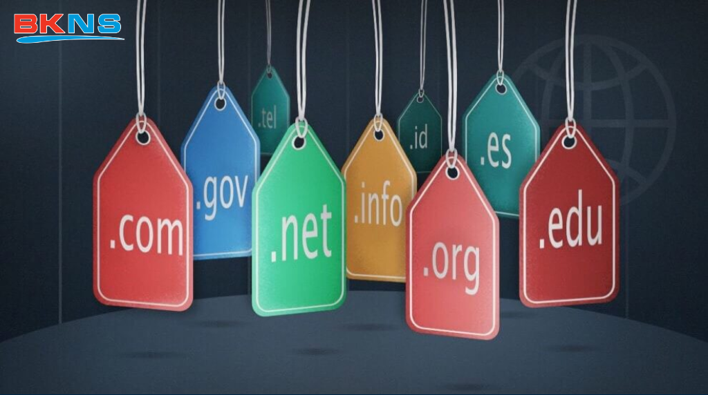 Một số tên miền .es cấp 2 đại diện cho các tổ chức khác nhau