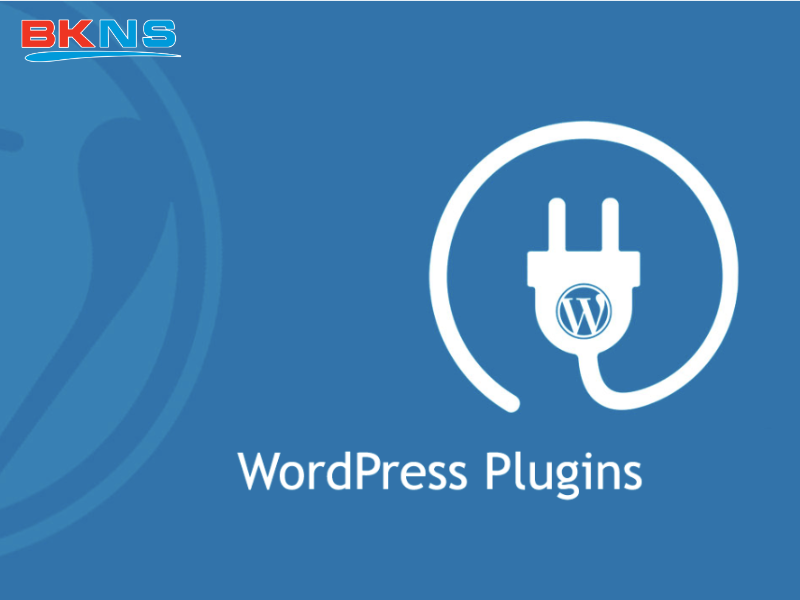 Khi nào nên tự viết plugin cho WordPress?