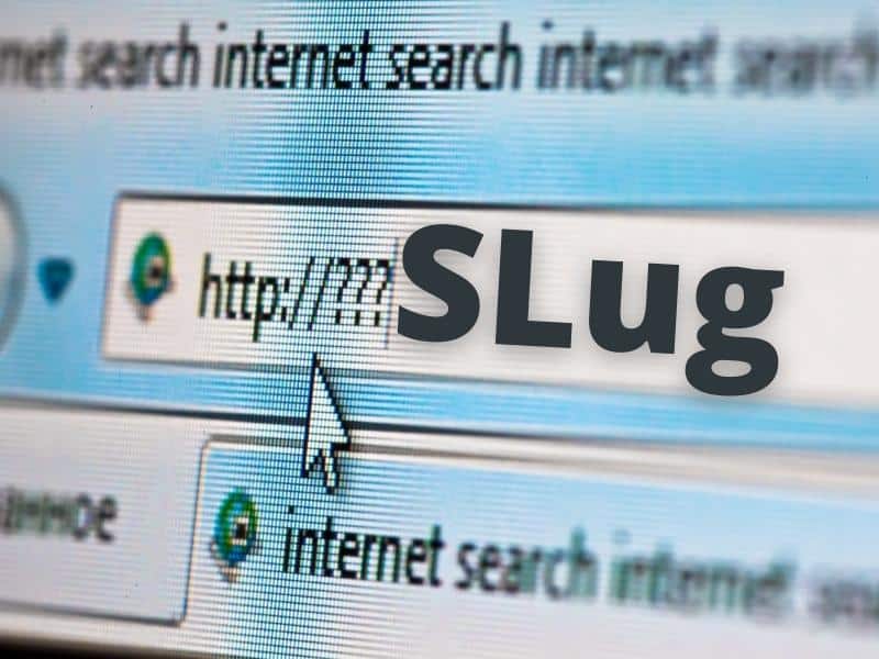 Việc trùng Slug trong WordPress sẽ gây ảnh hưởng xấu đến trang web của bạn: