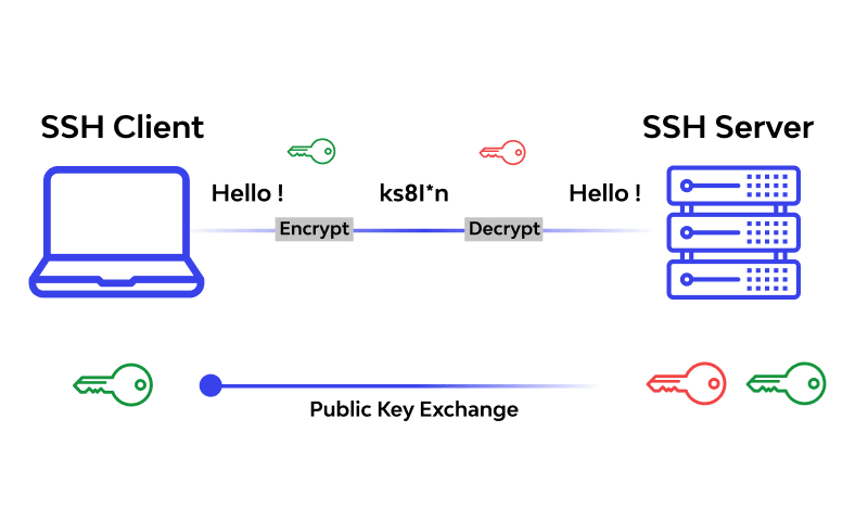 Telnet là gì Các câu lệnh Telnet phổ biến mà bạn nên biết