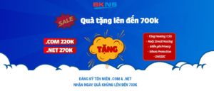 BKNS là đơn vị cung cấp, mua bán tên miền uy tín nhất Việt Nam