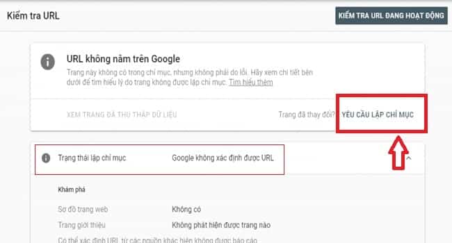 URL chưa được Google Index