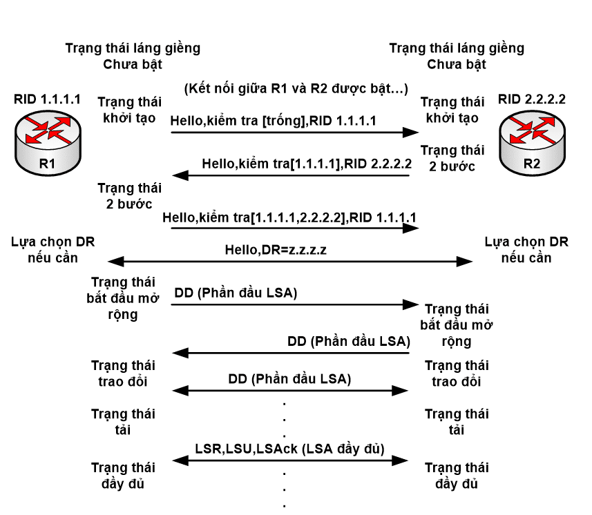 Những trạng thái của OSPF