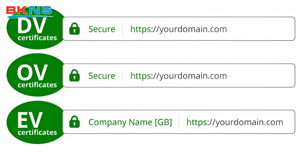 Phân loại SSL – Domain Validation (DV), Organization Validation (OV), và Extended Validation (EV)