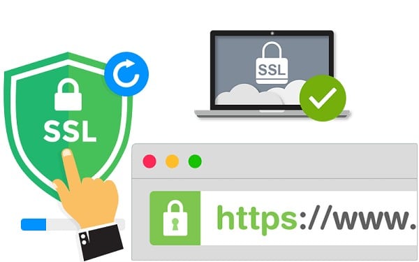 Bảo hiểm SSL là gì. có vai trò ra sao? 