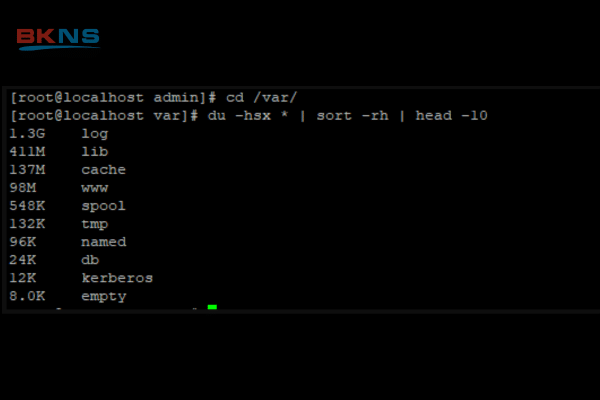 du -hsx * | sort -rh | head -10