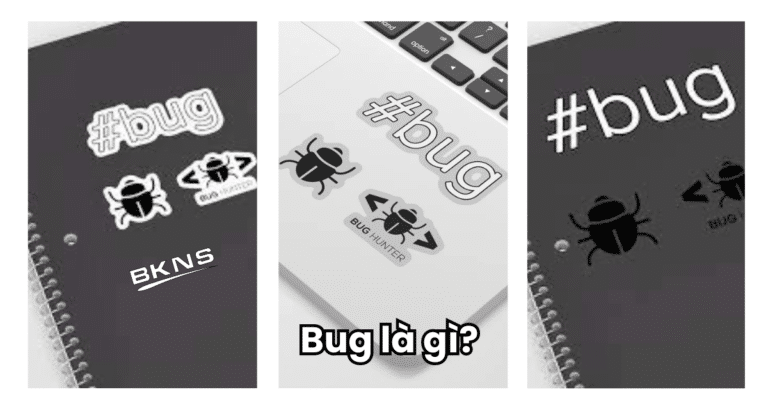 Bug là gì? 5 loại bug phổ biến nhất hiện nay