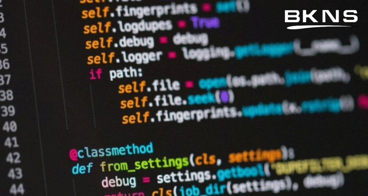 Bug là gì? 5 loại bug phổ biến nhất hiện nay - BKNS