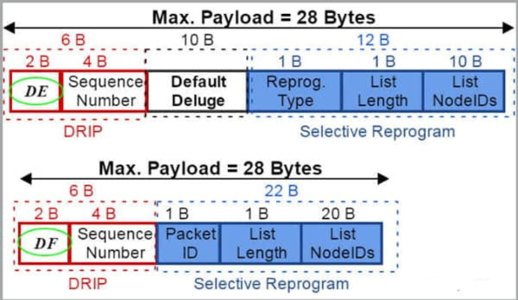 IP Packet Payload