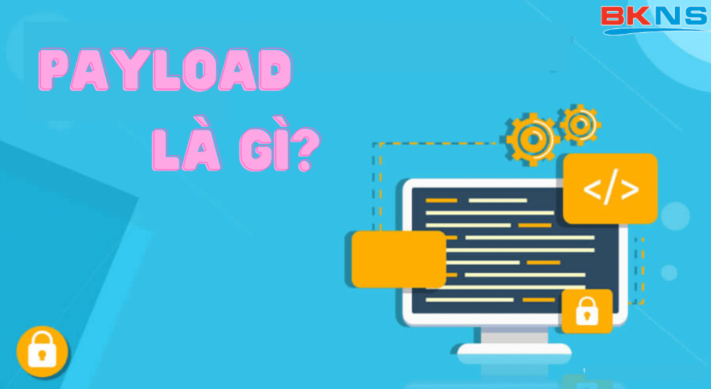 Payload là gì? Đặc điểm của Payload khi truyền dữ liệu