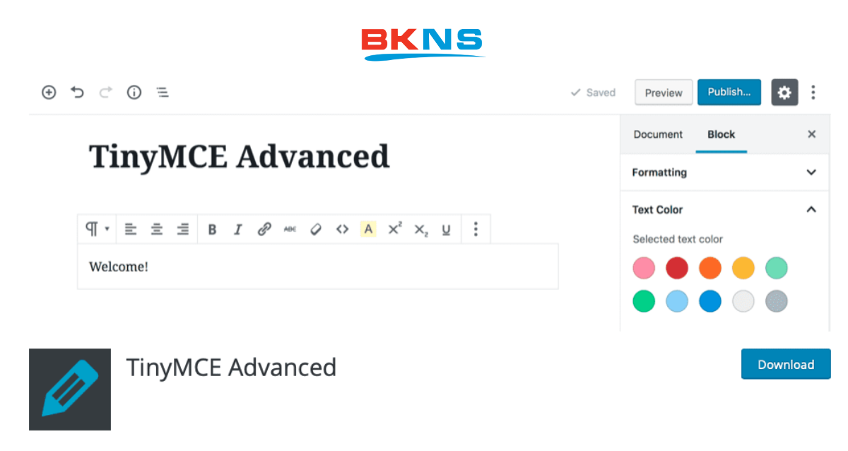 Plugin Editor WordPress