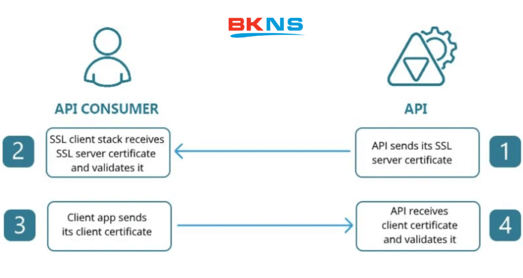 Cơ chế hoạt động của API và top 7 API miễn phí cho lập trình viên