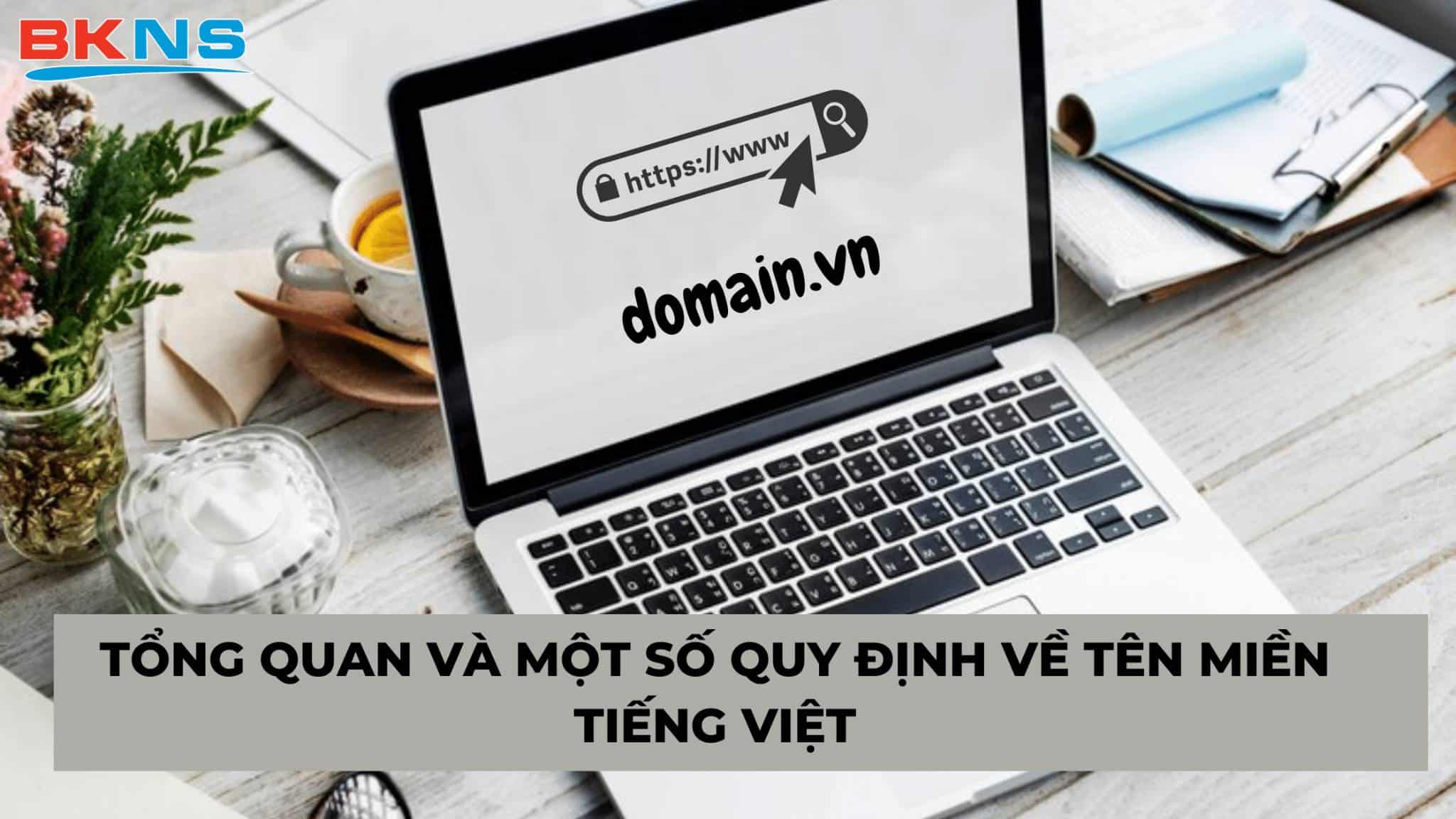 Giới thiệu tổng quan và một số quy định về tên miền Tiếng Việt