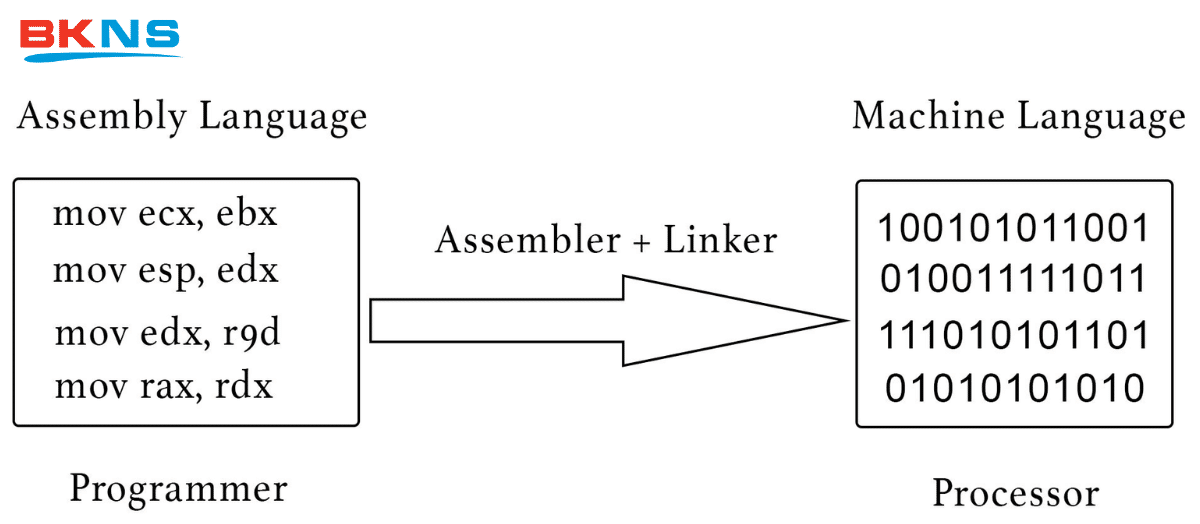 Assembly là gì