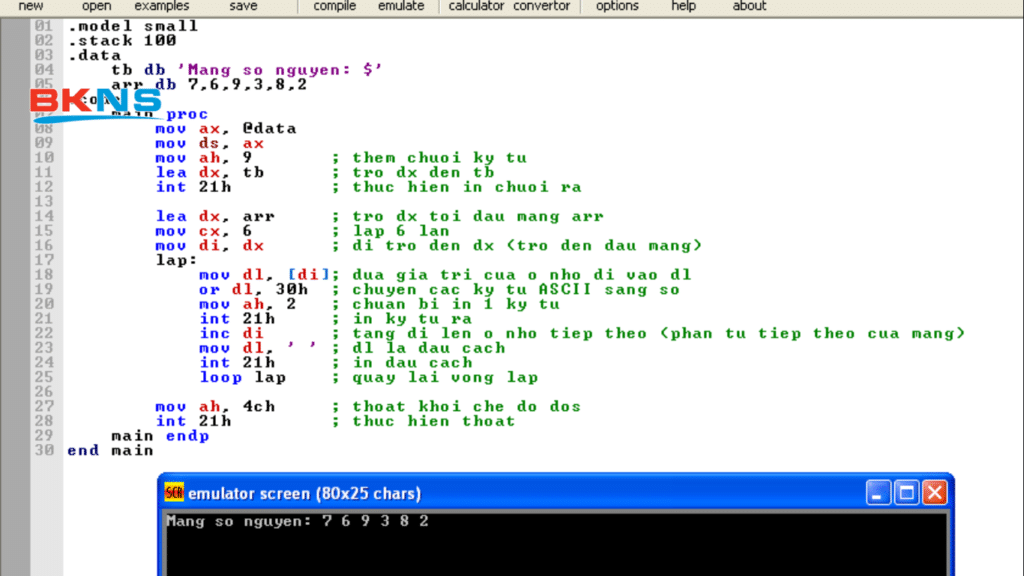 Đặc điểm của Assembly