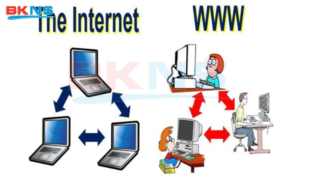 Phân biệt WWW và Internet