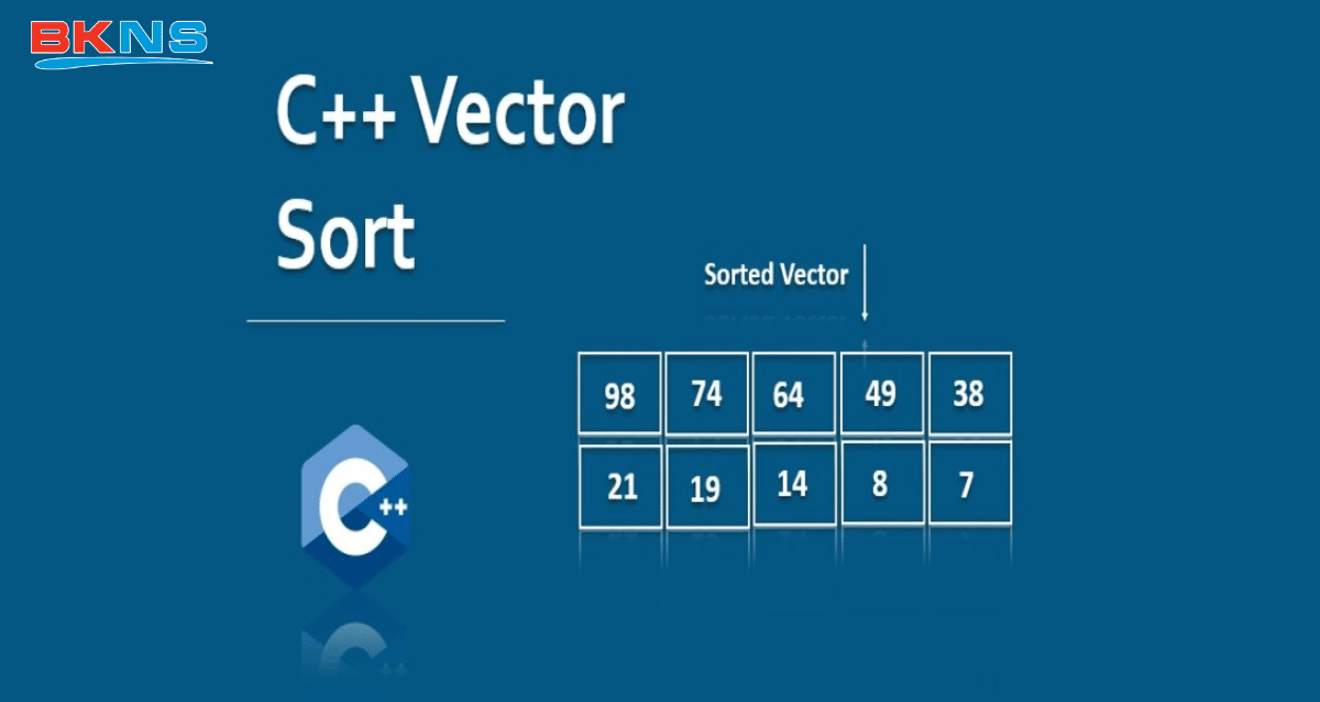 Vector trong C++ là gì 