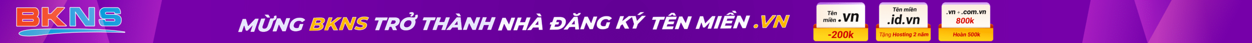 BKNS TÊN MIỀN VIỆT NAM