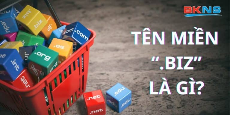 TÊN MIỀN .BIZ LÀ GÌ VÀ MỘT SỐ ĐIỀU BẠN CẦN BIẾT