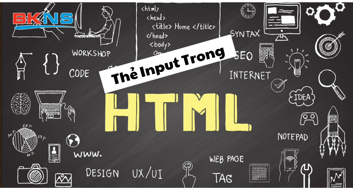 Thẻ input trong HTML là gì