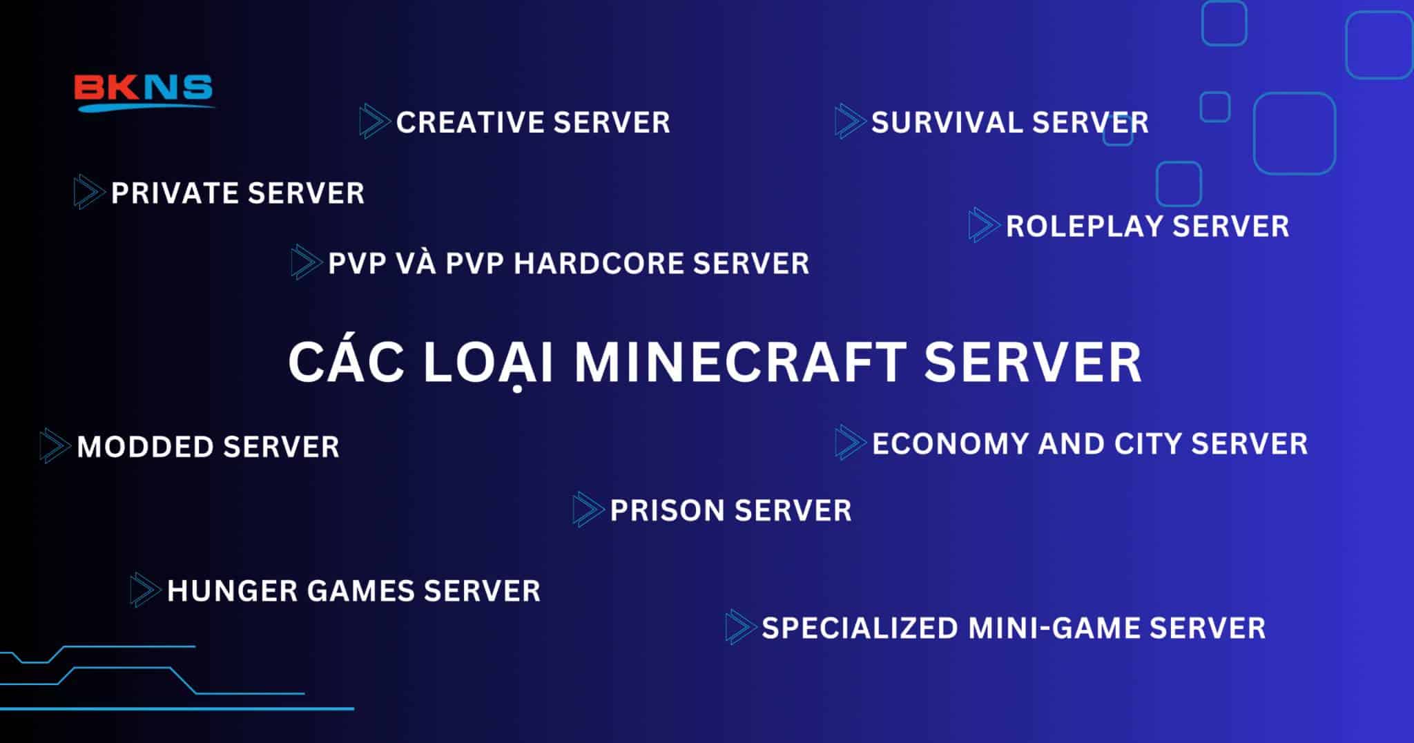 Phân loại Minecraft Server