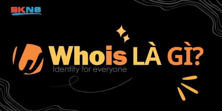 Whois là gì? Cách kiểm tra tên miền trên Whois