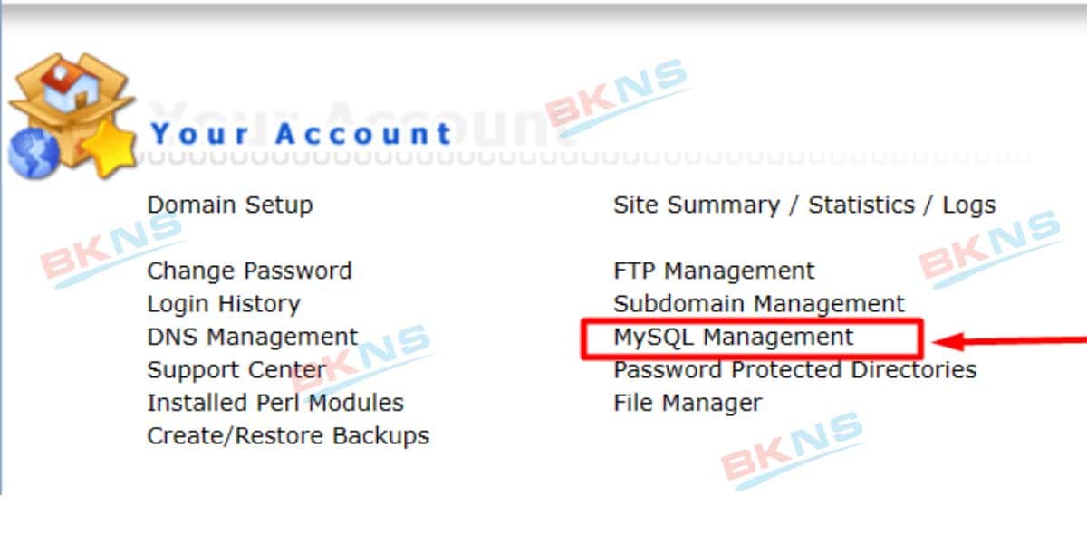Chọn MySQL Management