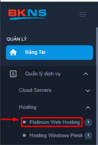 chon-cpanel-can-reset-mat-khau