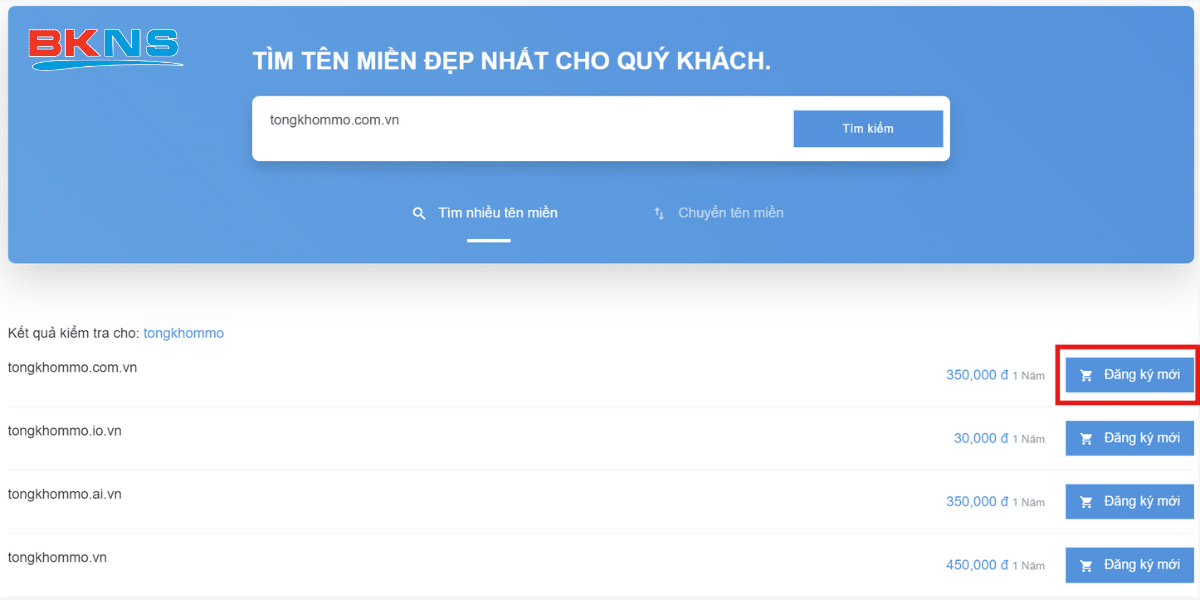 huong-dan-dang-ky-ten-mien-bkns