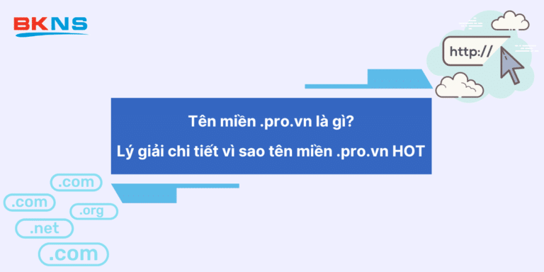 Tên miền .pro.vn là gì? Vì sao tên miền .pro.vn HOT?