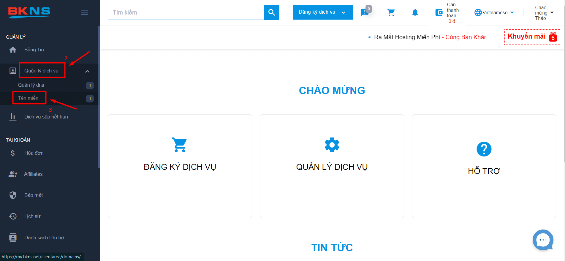 Chọn Quản lý dịch vụ Tên miền