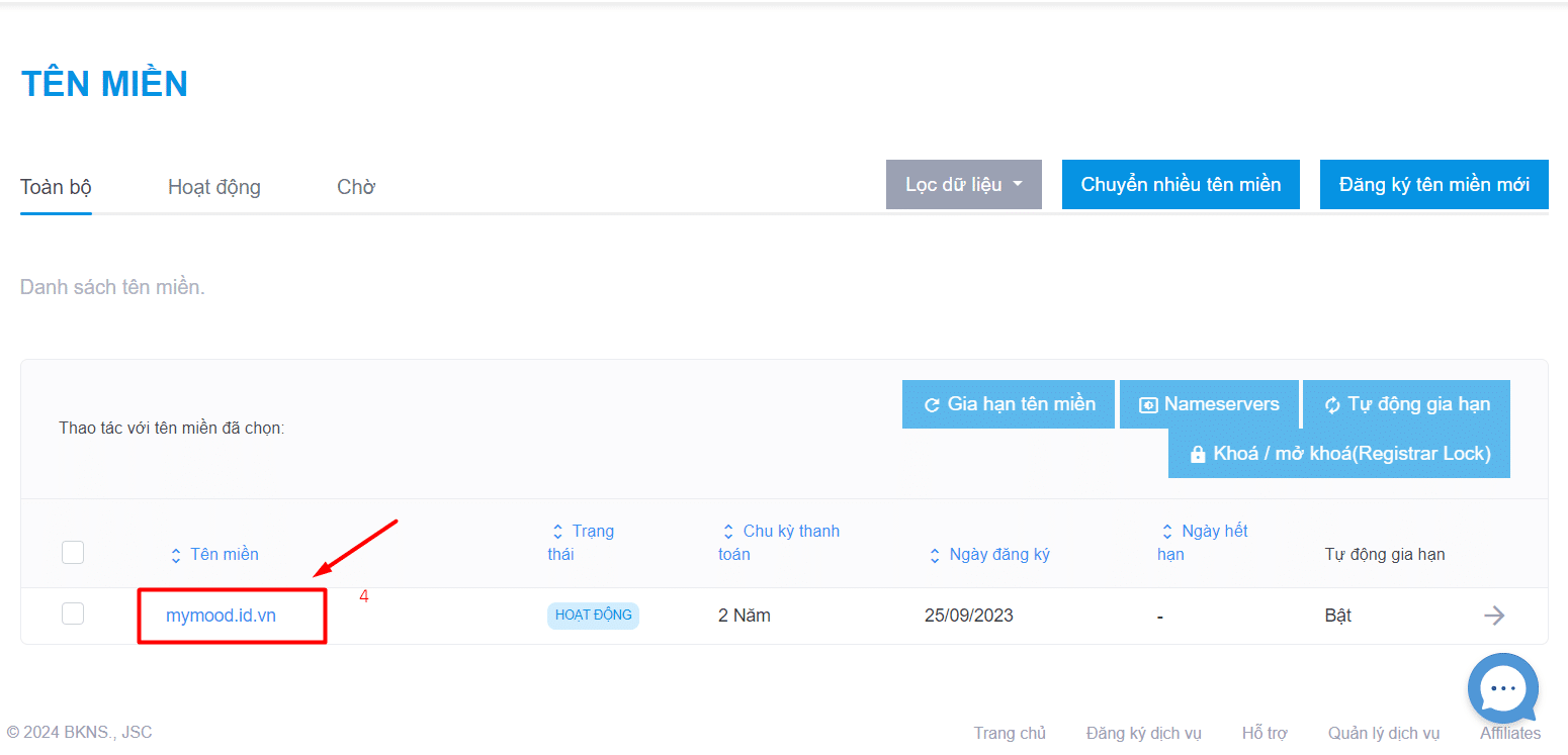 Chọn tên miền cần trỏ về hosting WordPress
