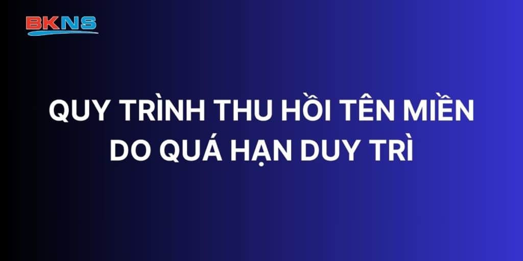 Quy trình thu hồi tên miền do quá hạn duy trì