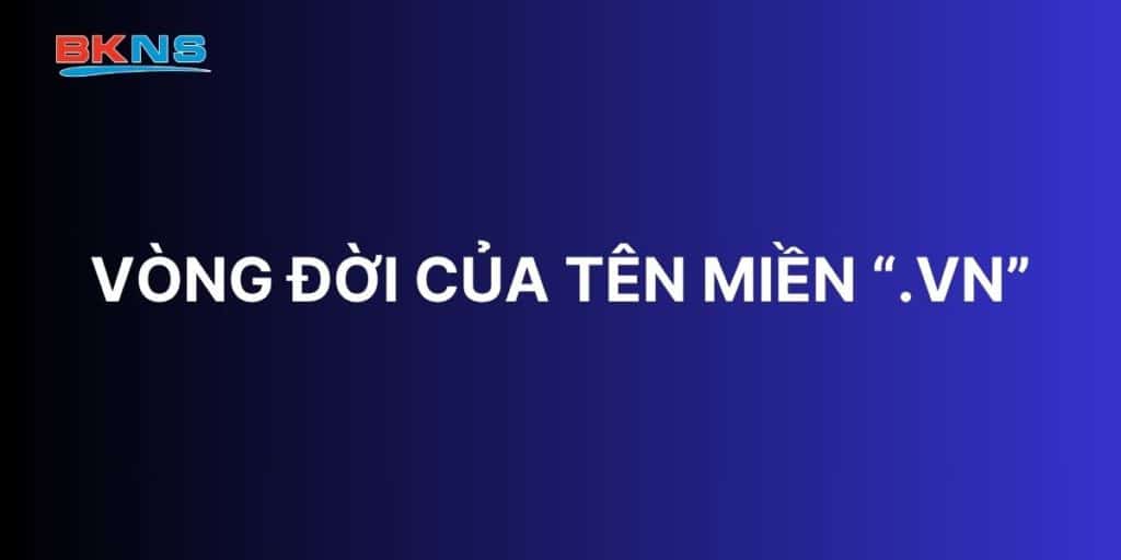 Vòng đời của tên miền “.vn”