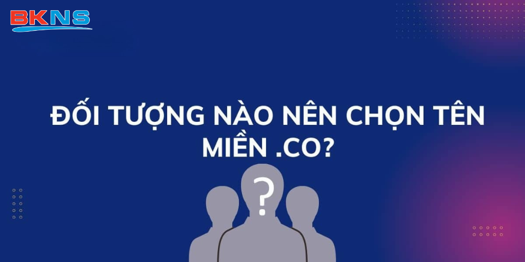 Đối tượng nào nên chọn tên miền .CO