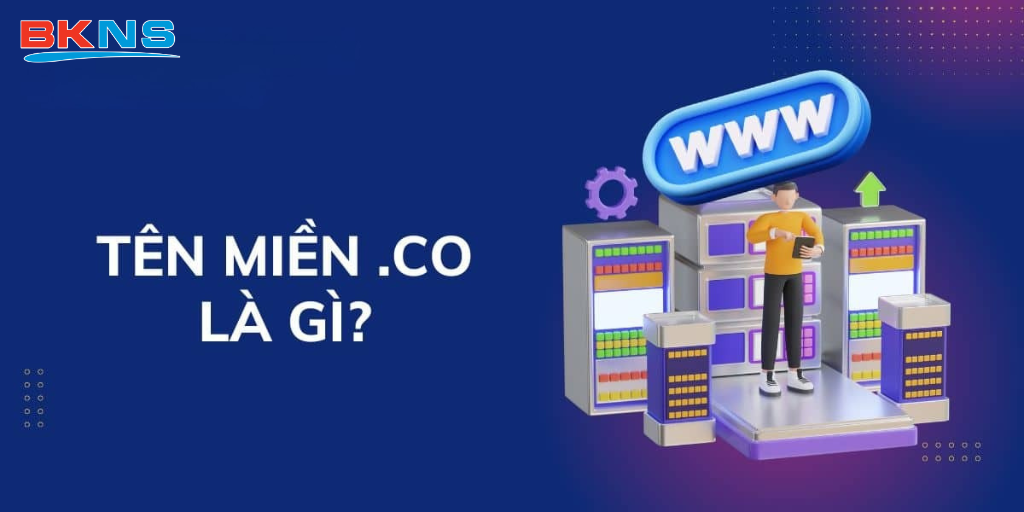 Tên miền CO là gì?