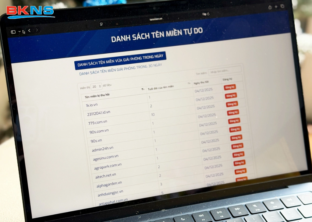 Danh sách tên miền .VN tự do được quan tâm