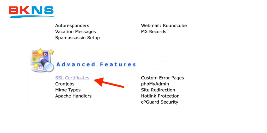 Cài đặt SSL miễn phí trên DirectAdmin