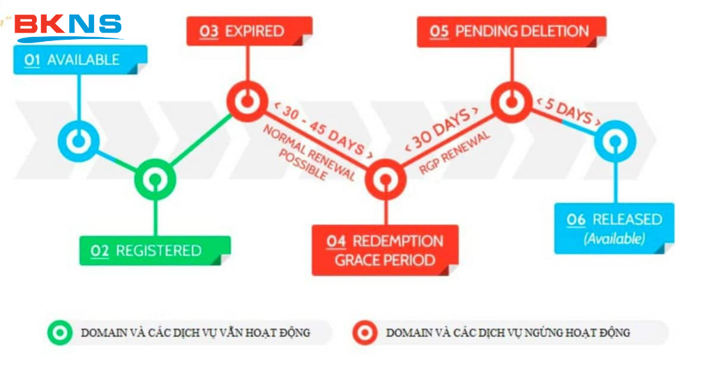 Sơ đồ của vòng đời của tên miền quốc tế