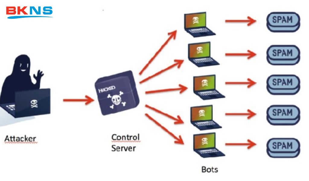 Cách thức hoạt động của mạng lưới C&C Server