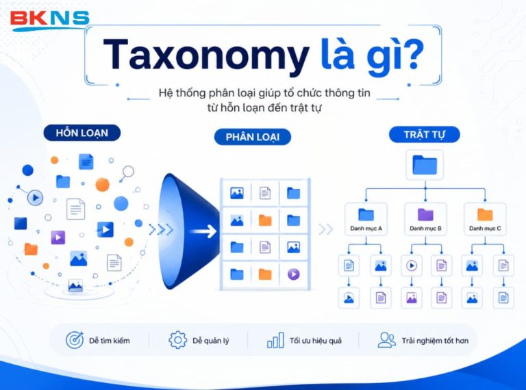 Taxonomy giúp sắp xếp dữ liệu từ hỗn loạn trở nên có tổ chức và dễ quản lý hơn trên môi trường website