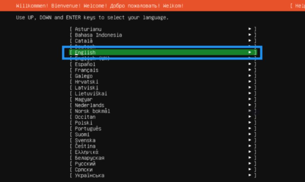 Chọn ngôn ngữ cài đặt (khuyên dùng English)