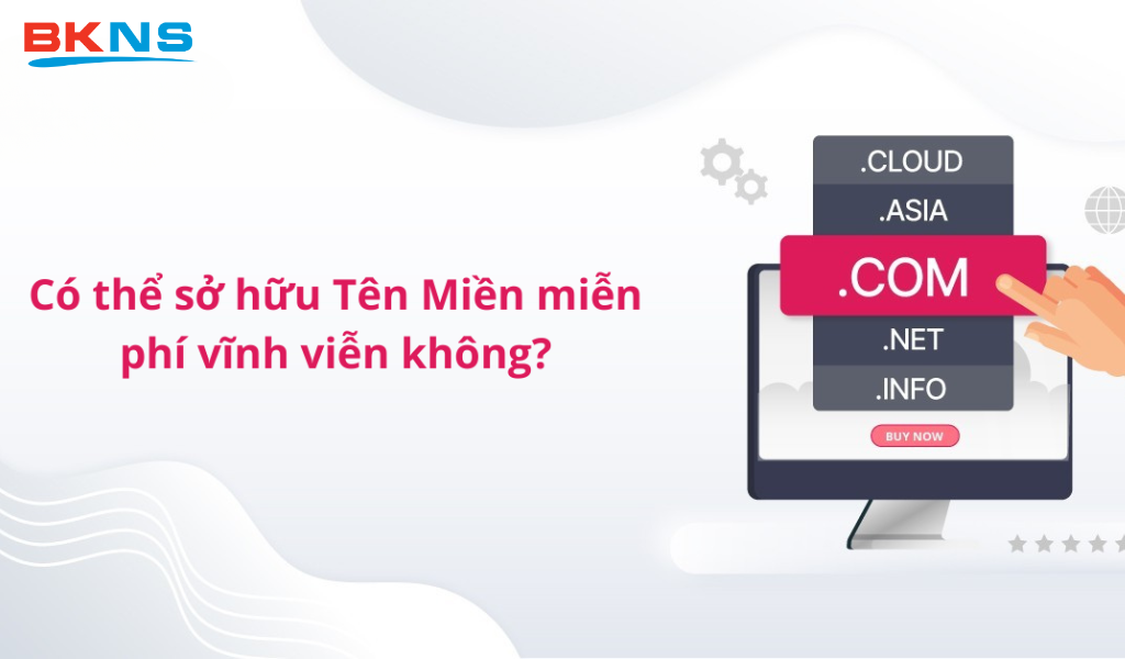 Mua tên miền vĩnh viễn là gì?