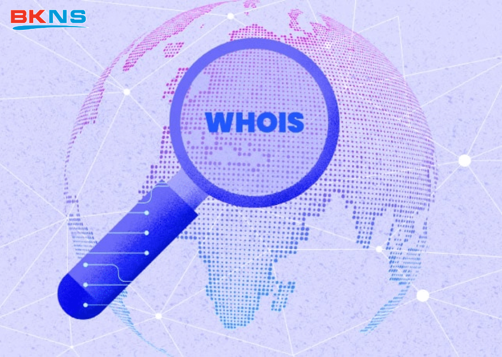Phân tích thông số kỹ thuật từ WHOIS
