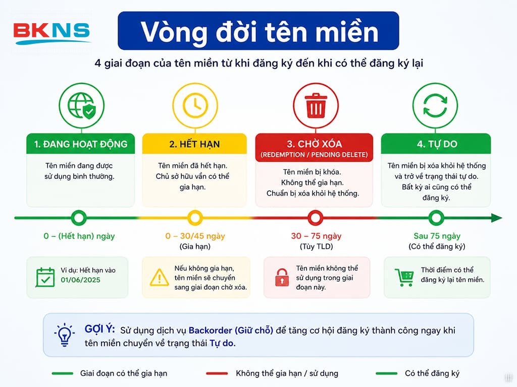 Hiểu rõ vòng đời tên miền giúp canh thời gian mua lại