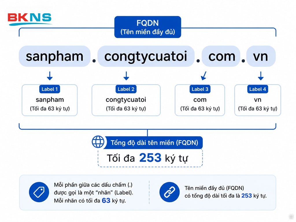 Cấu trúc nhãn (label) và FQDN giới hạn tên miền tối đa 253 ký tự và không vượt quá 63 ký tự mỗi nhãn.